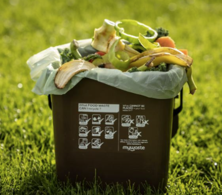 Image of a small brown bin filled with compost on grass