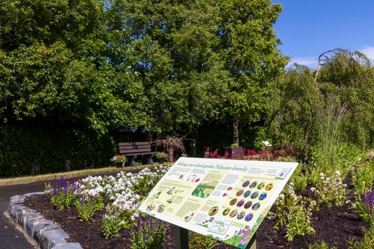 An image of the biodiversity garden and information board in Laois Education Centre