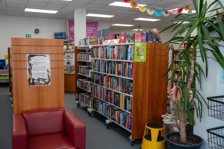 Library bookshelves