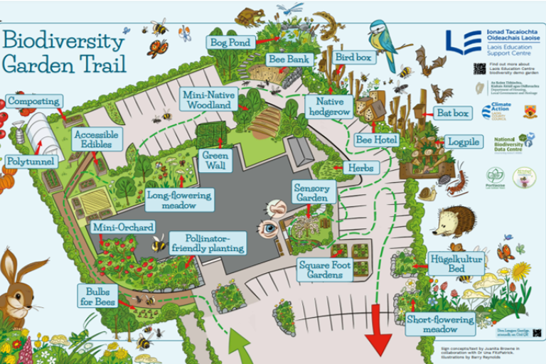 A cartoon map of the biodiversity garden in Laois Education Centre