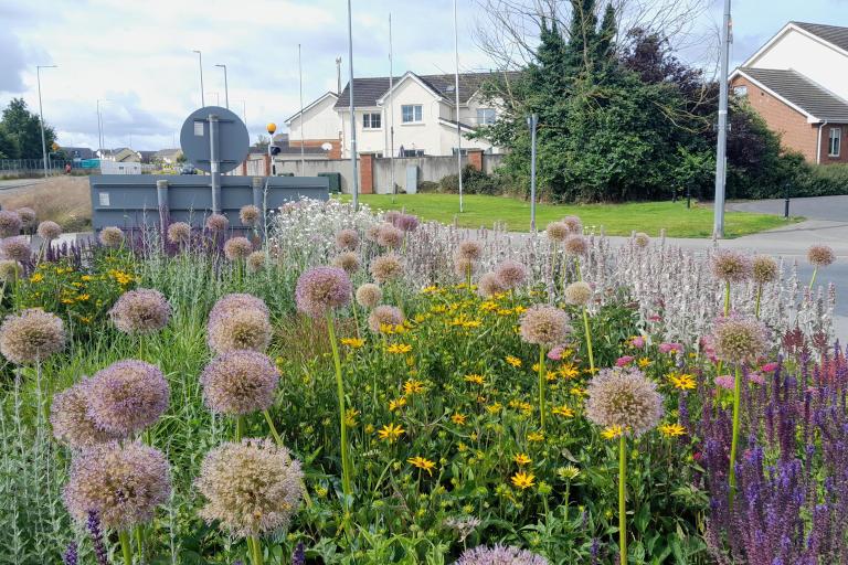 town in a garden biodiversity roundabout