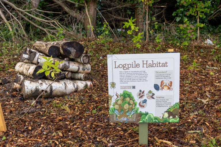 Logpile habitat at Laois Education Centre