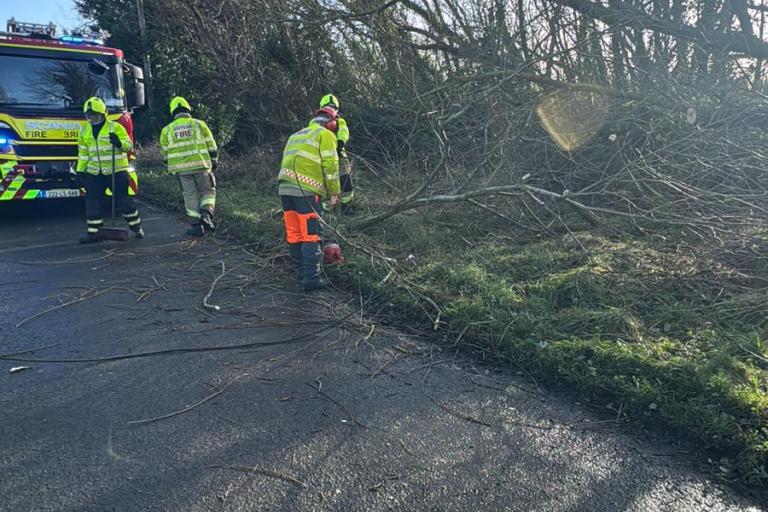 Storm Clearance Works