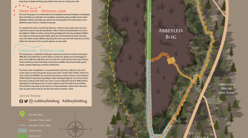 Map of Abbeyleix