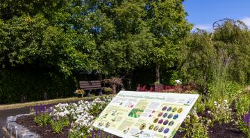 Picture displays a piece of the biodiversity demonstration garden