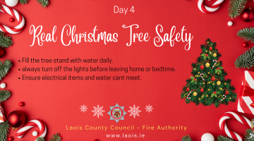 Real Christmas tree fire safety