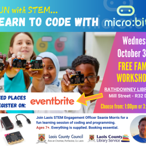 Microbit Workshops Rathdowney