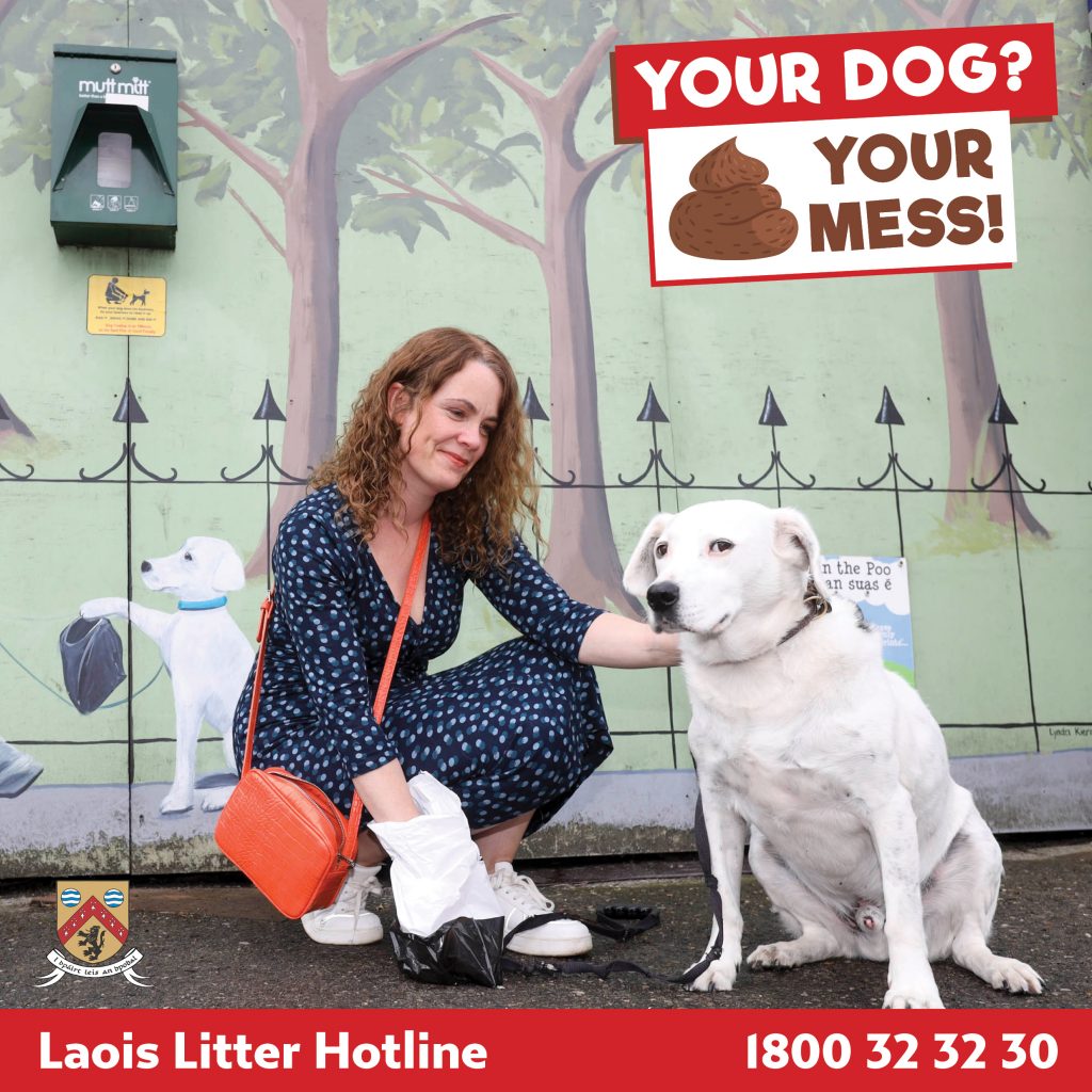 How To Report Dog Fouling Laois County Council