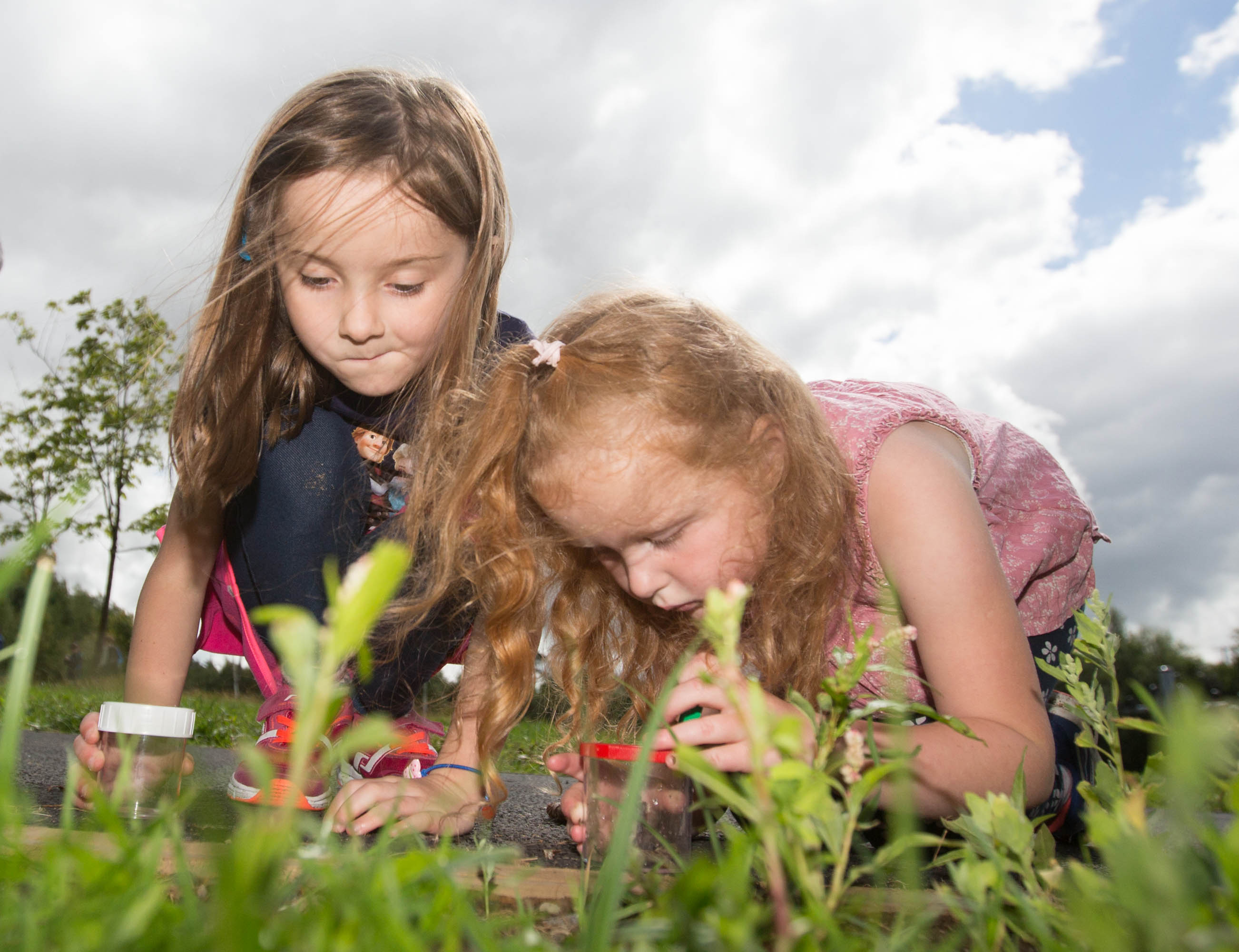 Laois Heritage KIds Wildlife 09