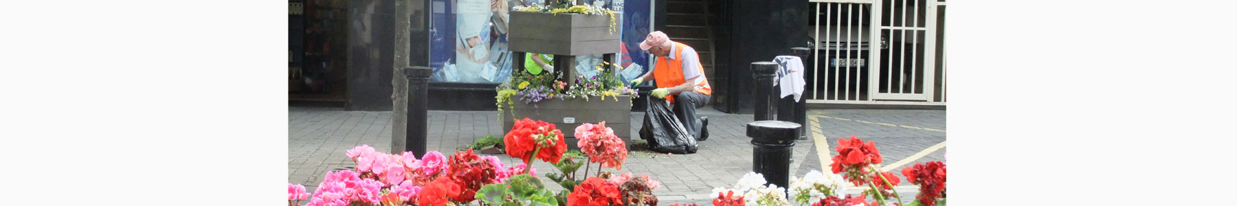 Tidy Towns at Work 1
