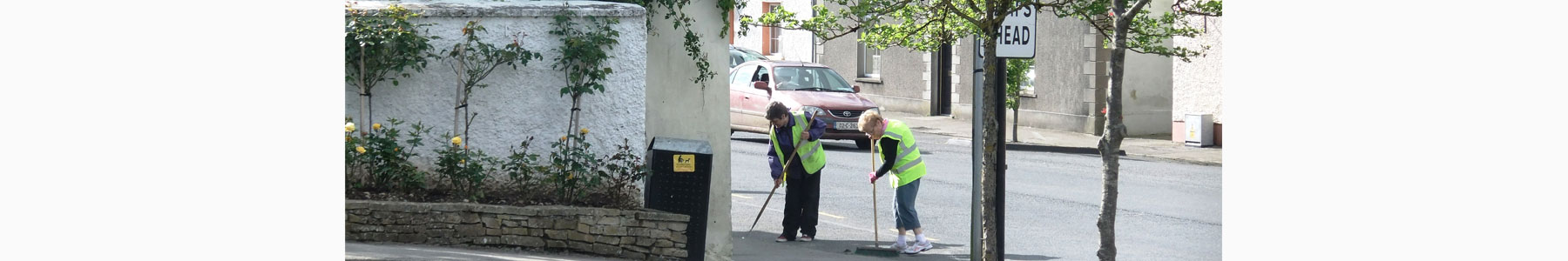 Tidy Towns at Work 2